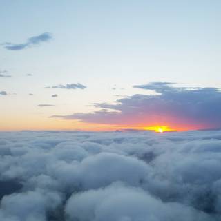 Tranquil morning wallpaper