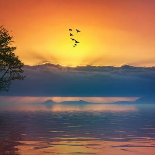 Tranquil morning wallpaper