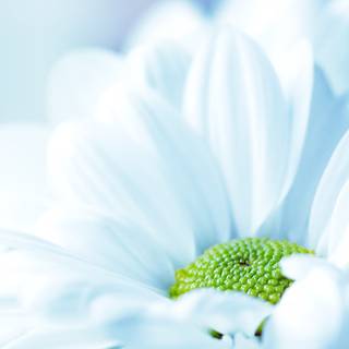 Colorful spring wallpaper