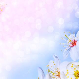 Colorful spring wallpaper