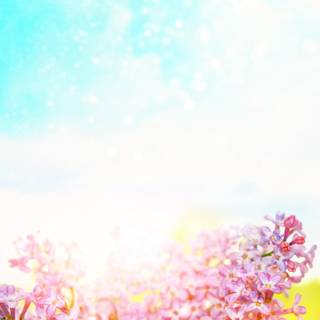 Colorful spring wallpaper