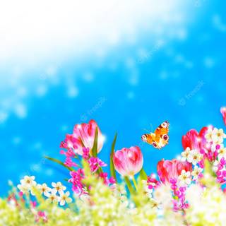 Colorful spring wallpaper