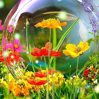 Colorful spring wallpaper