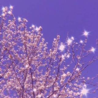 Aesthetic spring purple wallpaper