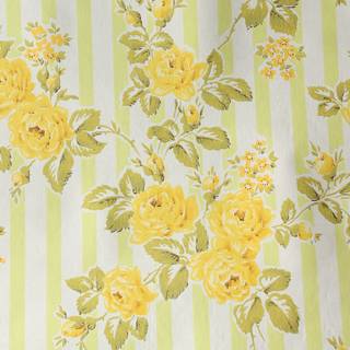 Spring 50s wallpaper