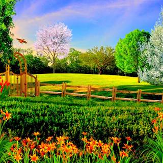 Spring FHD wallpaper