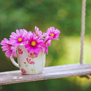 Spring FHD wallpaper