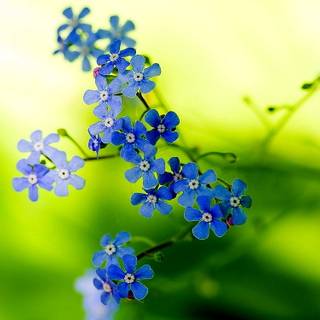 Spring FHD wallpaper