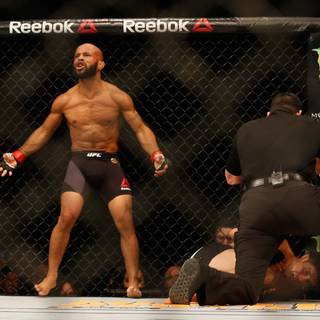 Demetrious Johnson wallpaper