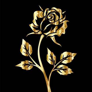 Golden and black wallpaper