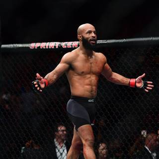 Demetrious Johnson wallpaper