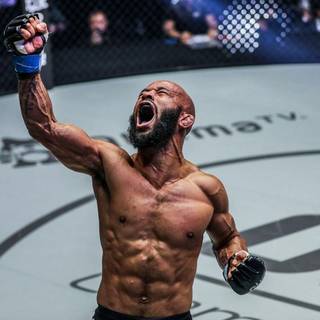 Demetrious Johnson wallpaper
