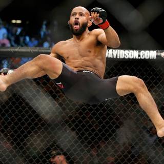 Demetrious Johnson wallpaper