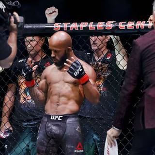 Demetrious Johnson wallpaper