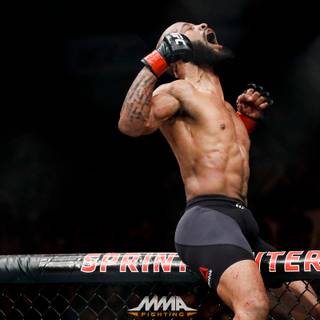 Demetrious Johnson wallpaper
