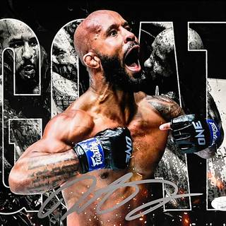 Demetrious Johnson wallpaper