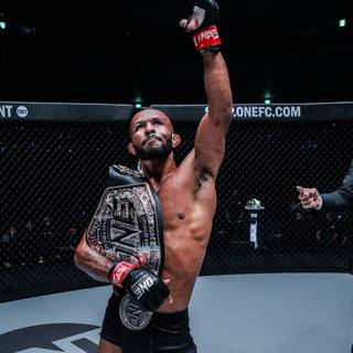 Demetrious Johnson wallpaper