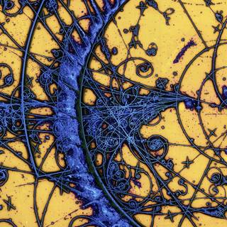 The Strokes desktop wallpaper