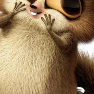 Mort Madagascar wallpaper