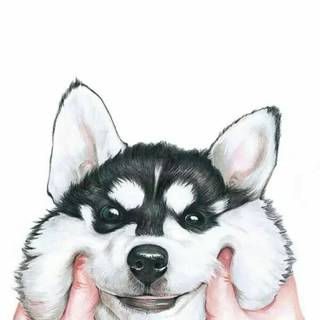 Husky cartoon wallpaper