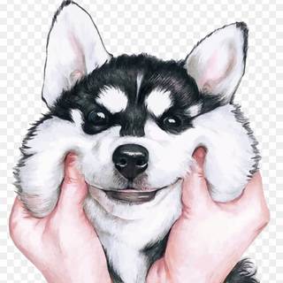 Husky cartoon wallpaper