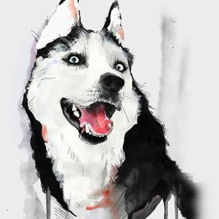 Husky cartoon wallpaper