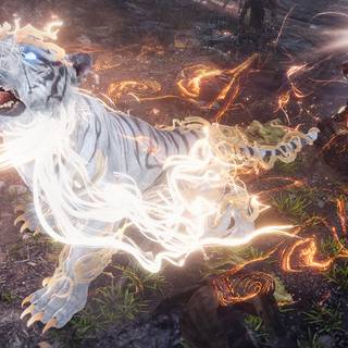 Wo Long: Fallen Dynasty wallpaper