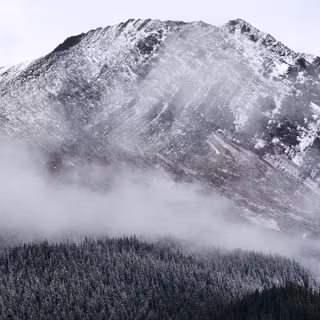 Nokia G300 wallpaper