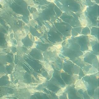 Ocean green wallpaper