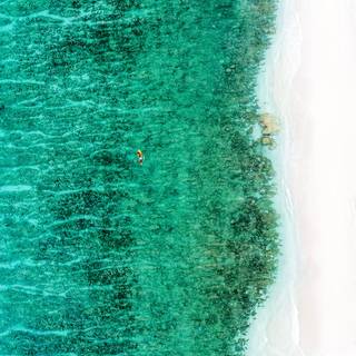 Ocean green wallpaper