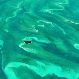 Ocean green wallpaper