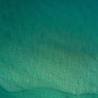 Ocean green wallpaper