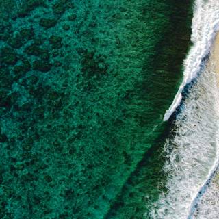 Ocean green wallpaper