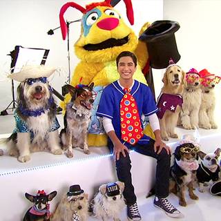 Mutt and Stuff wallpaper