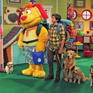 Mutt and Stuff wallpaper