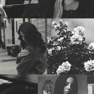 Lana Del Rey iPhone wallpaper
