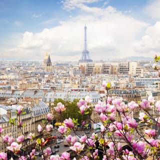 Paris spring computer wallpaper