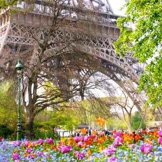 Paris spring computer wallpaper