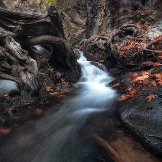 Dark spring 8k wallpaper