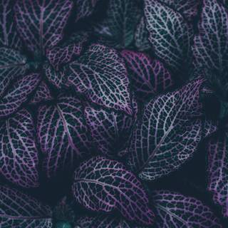 Dark spring 8k wallpaper