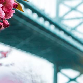 2560x1080 spring wallpaper