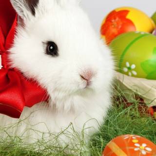 Easter bunny mobile wallpaper