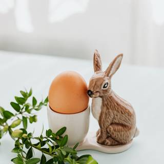 Easter bunny mobile wallpaper