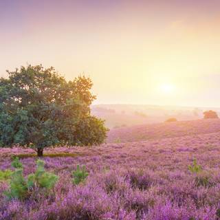 Spring PC 4k wallpaper