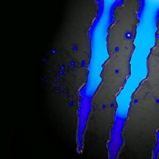 Monster Energy cars wallpaper