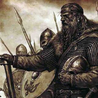 Viking Berserker wallpaper