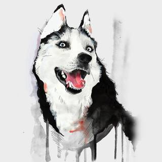 Cute Husky drawing wallpaper
