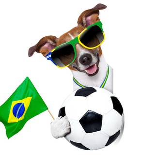 Soccer dog wallpaper