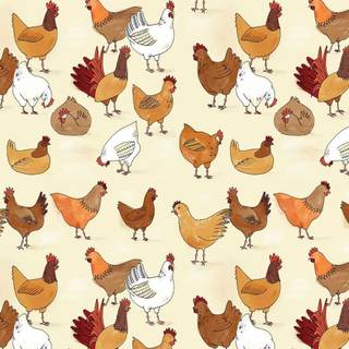 Chicken wallpaper