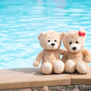 Bear couples wallpaper